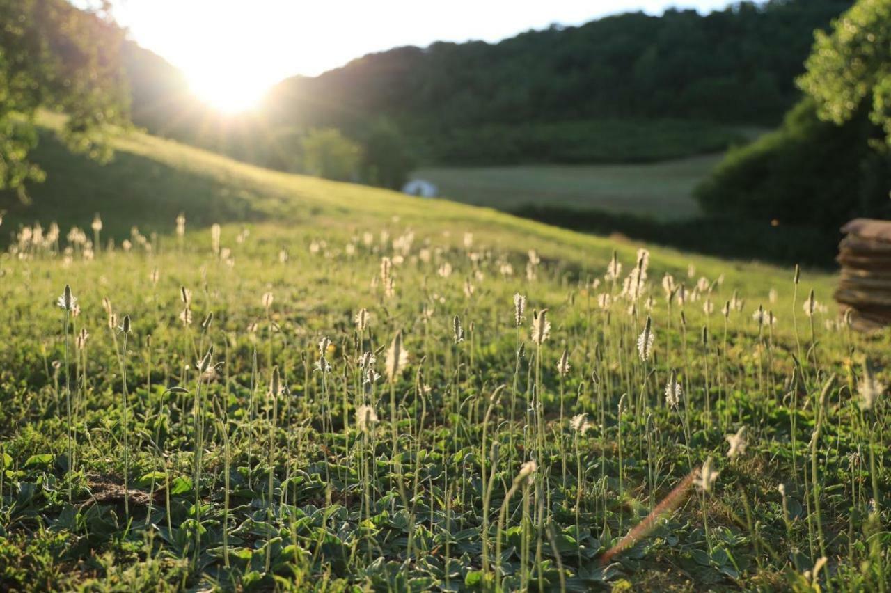 Caylus Domaine La Rose Bed & Breakfast エクステリア 写真